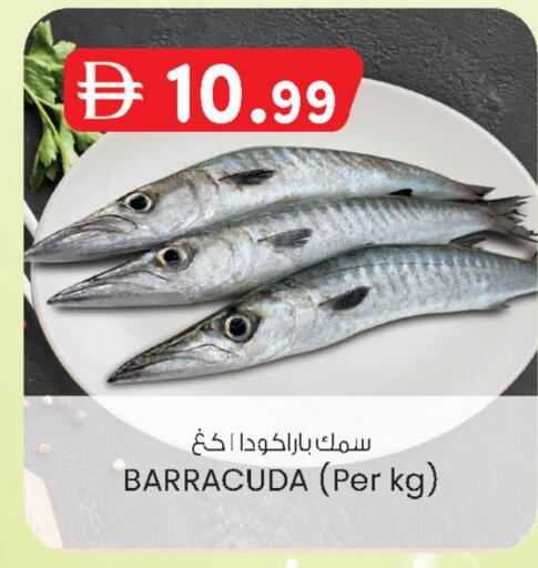 available at الصفا in الإمارات العربية المتحدة , الامارات - ٱلْعَيْن‎