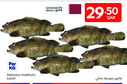 available at Carrefour in Qatar - Al Rayyan