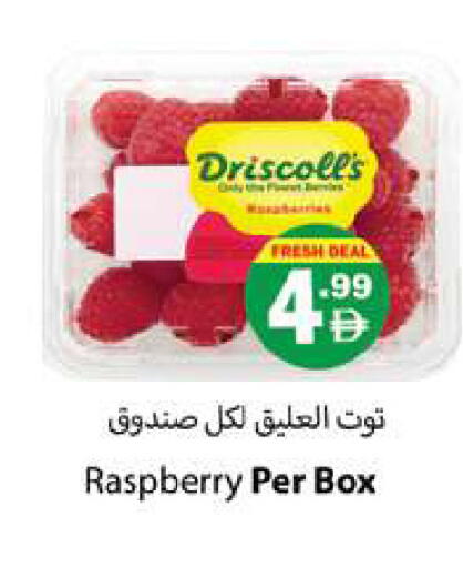 Raspberry available at Zain Mart Supermarket in UAE - Ras al Khaimah