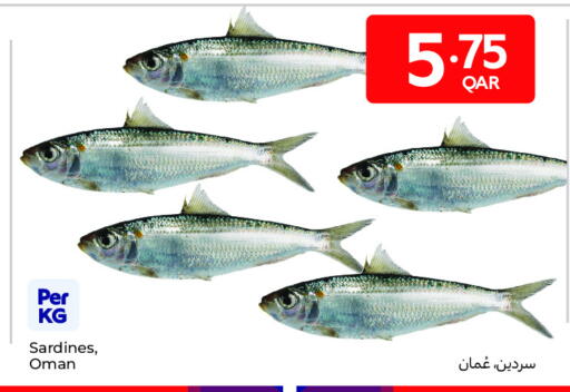 available at Carrefour in Qatar - Al Rayyan