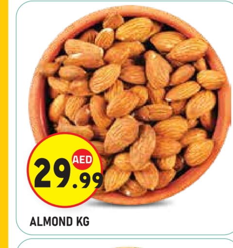 available at سنابل بني ياس in الإمارات العربية المتحدة , الامارات - أبو ظبي