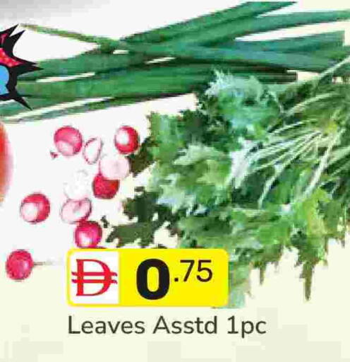 available at دريم نايت هايبرماركت in الإمارات العربية المتحدة , الامارات - دبي