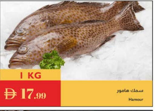 available at Istanbul Supermarket in UAE - Ras al Khaimah