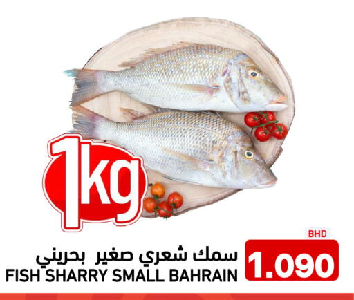 available at رامــز in البحرين