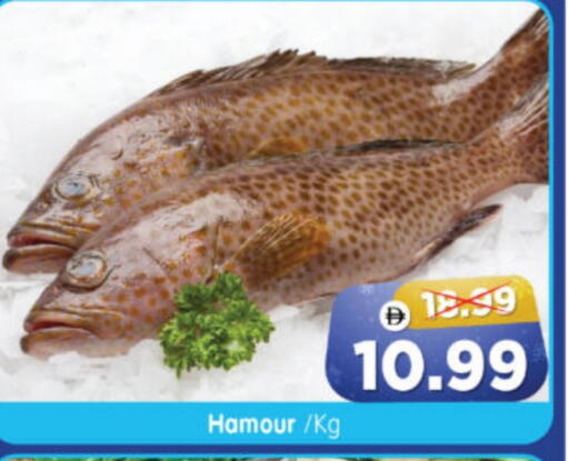 available at Al Madina Hypermarket in UAE - Abu Dhabi