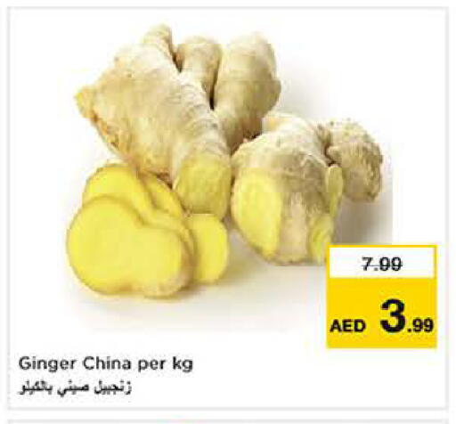 Ginger from China available at لاست تشانس in الإمارات العربية المتحدة , الامارات - ٱلْفُجَيْرَة‎