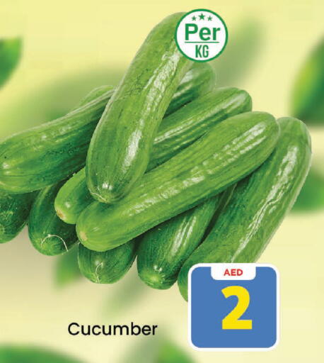 Cucumber available at Mark & Save in UAE - Sharjah / Ajman