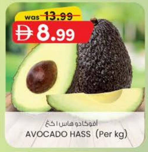 Avocado available at Safa Express Supermarket in UAE - Al Ain