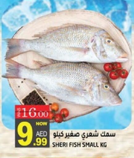 available at هاشم هايبرماركت in الإمارات العربية المتحدة , الامارات - الشارقة / عجمان