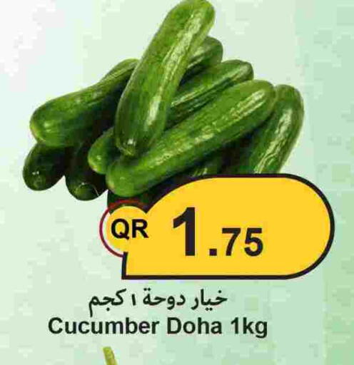 Cucumber from Qatar available at احلى مارت in قطر - الريان