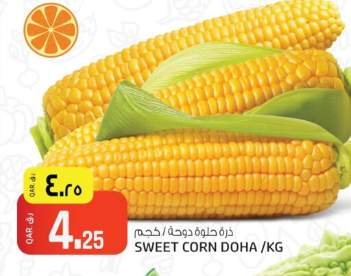 from Qatar available at Kenz Mini Mart in Qatar - Al Rayyan