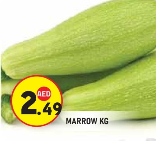 Marrow available at سنابل بني ياس in الإمارات العربية المتحدة , الامارات - ٱلْعَيْن‎