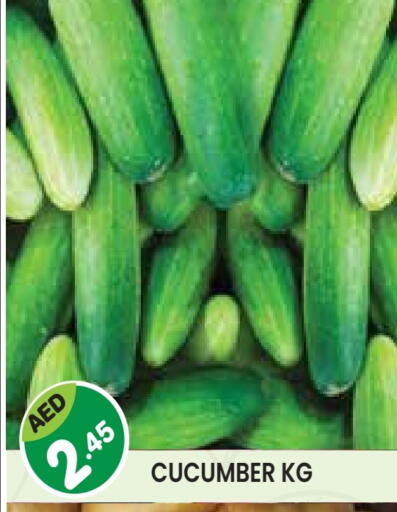 Cucumber available at Baniyas Spike  in UAE - Abu Dhabi