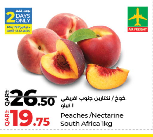 Nectarine from South Africa available at LuLu Hypermarket in Qatar - Al Wakra