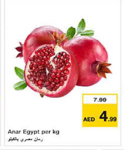 from Egypt available at Last Chance  in UAE - Fujairah