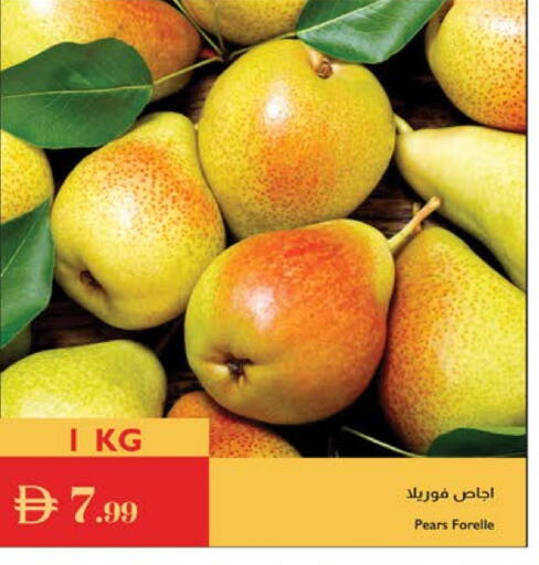 available at إسطنبول سوبرماركت in الإمارات العربية المتحدة , الامارات - ٱلْعَيْن‎