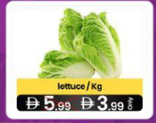 Lettuce available at  ELITE BASKET SUPERMARKET L.L.C. SP in UAE - Sharjah / Ajman
