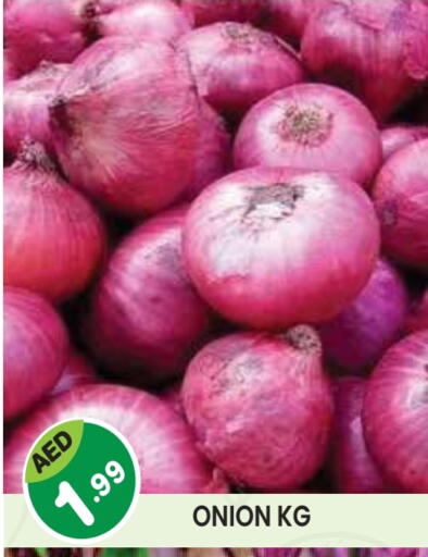 Onion available at Baniyas Spike  in UAE - Umm al Quwain