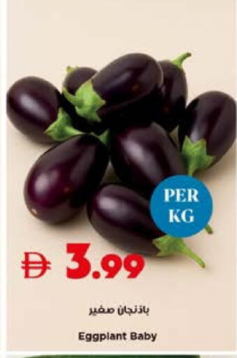 Eggplant available at تروليز سوبرماركت in الإمارات العربية المتحدة , الامارات - دبي