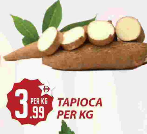 available at Dream Land in UAE - Dubai