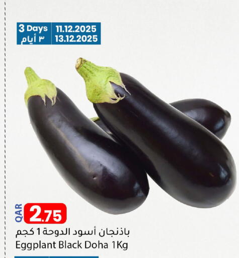 Eggplant from Qatar available at دانا ماركت in قطر - الريان