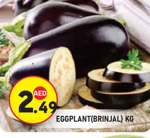 Eggplant available at سنابل بني ياس in الإمارات العربية المتحدة , الامارات - ٱلْعَيْن‎