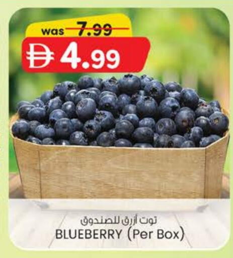 Blueberry BlueBerry available at ك. الم. للتجارة in الإمارات العربية المتحدة , الامارات - الشارقة / عجمان