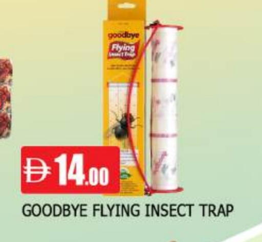 available at المدينة in الإمارات العربية المتحدة , الامارات - الشارقة / عجمان