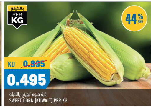 from Kuwait available at Oncost in Kuwait - Jahra Governorate