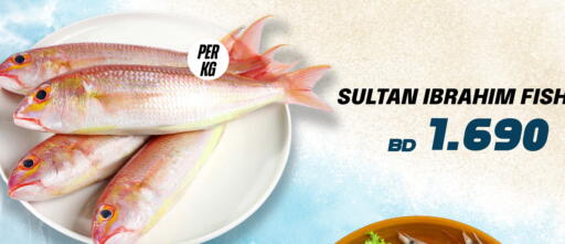 available at الجزيرة سوبرماركت in البحرين