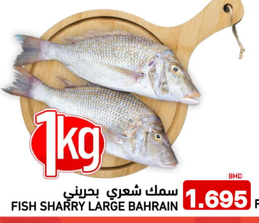 available at رامــز in البحرين