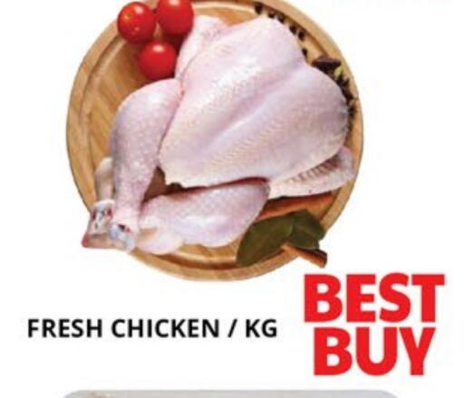 available at اكسبرس المدينة هايبرماركت in الإمارات العربية المتحدة , الامارات - أبو ظبي