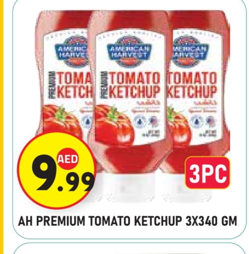 Tomato available at Baniyas Spike  in UAE - Al Ain