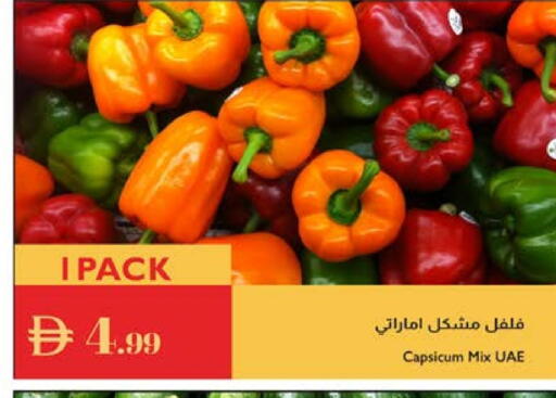 Capsicum available at Istanbul Supermarket in UAE - Sharjah / Ajman