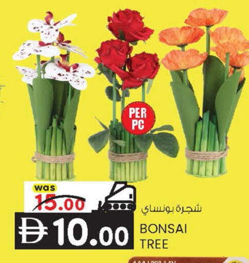 available at K M Trading  in UAE - Abu Dhabi