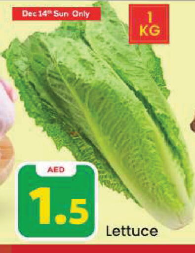 Lettuce available at مارك & سيف in الإمارات العربية المتحدة , الامارات - دبي