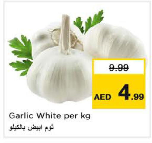 Garlic available at نستو هايبرماركت in الإمارات العربية المتحدة , الامارات - أبو ظبي