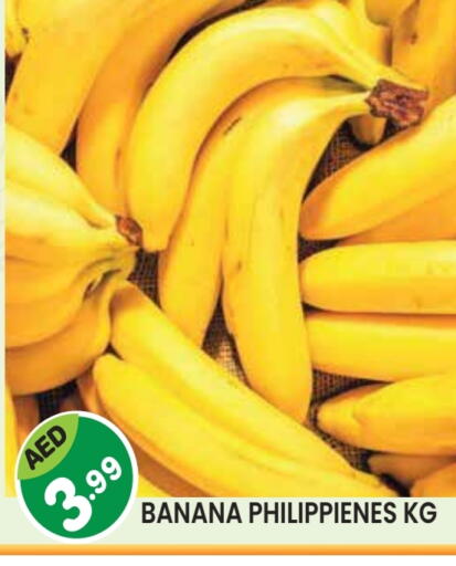 Banana available at سنابل بني ياس in الإمارات العربية المتحدة , الامارات - أم القيوين‎