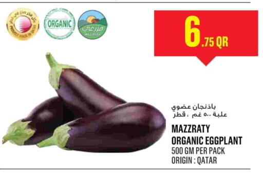 Eggplant available at مونوبريكس in قطر - الشمال