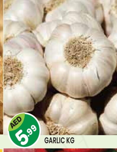 Garlic available at Baniyas Spike  in UAE - Umm al Quwain