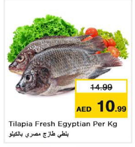 available at Nesto Hypermarket in UAE - Abu Dhabi