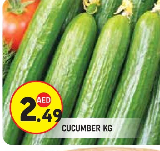 Cucumber available at سنابل بني ياس in الإمارات العربية المتحدة , الامارات - ٱلْعَيْن‎