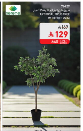 available at SACO in KSA, Saudi Arabia, Saudi - Abha