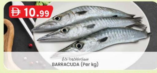 available at Safa Express Supermarket in UAE - Abu Dhabi