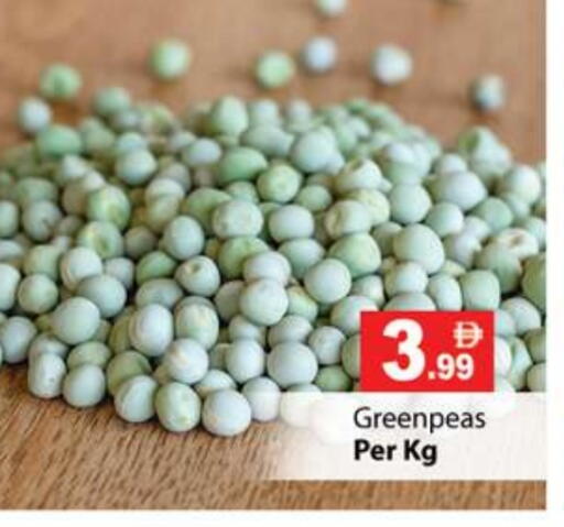 available at جلف هايبرماركت ذ.م.م in الإمارات العربية المتحدة , الامارات - رَأْس ٱلْخَيْمَة