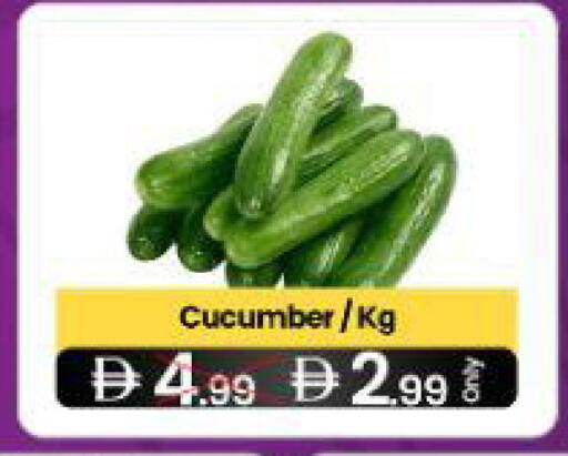 Cucumber available at  ELITE BASKET SUPERMARKET L.L.C. SP in UAE - Sharjah / Ajman