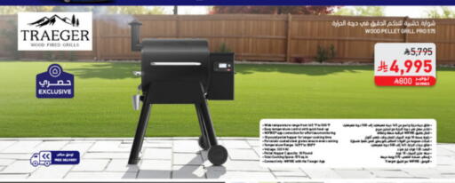 available at SACO in KSA, Saudi Arabia, Saudi - Jazan