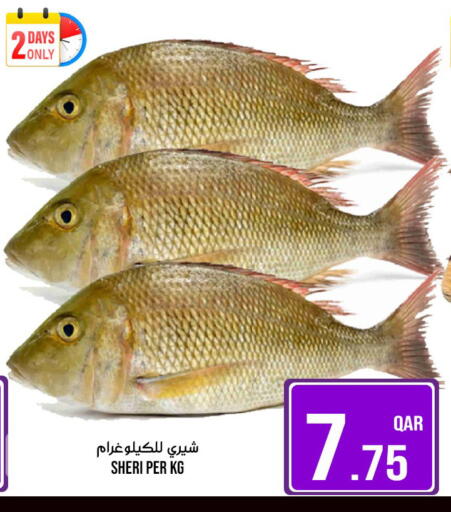 available at باشن هايبر ماركت in قطر - الوكرة