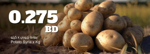 Potato from Syria available at مركز سلطان in البحرين
