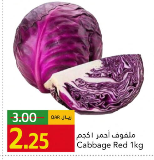 Cabbage available at Gulf Food Center in Qatar - Al Shamal